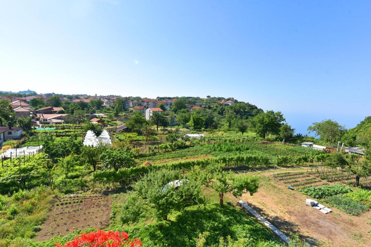 Apartamento La Terrazza Sugli Dei Pianillo Exterior foto